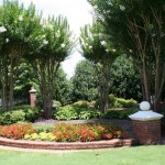 Landscaping Maintenance - Hutcheson Horticultural - 22