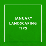 January Landscaping Tips